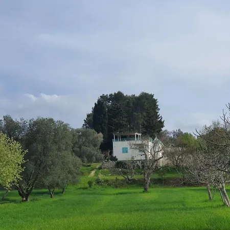 Trullo Turchese Fabiola Ceglie Messapica
